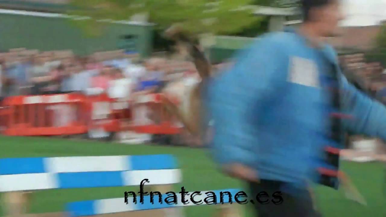 maxresdefault 3