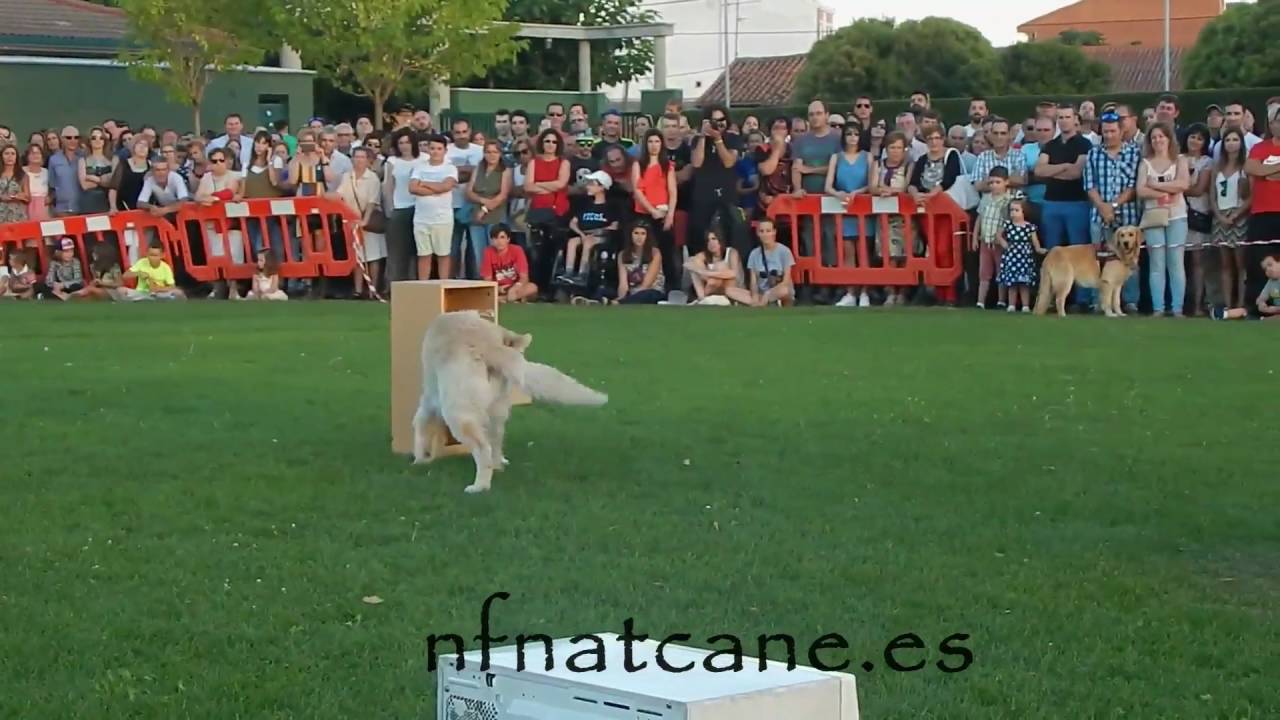 maxresdefault 7