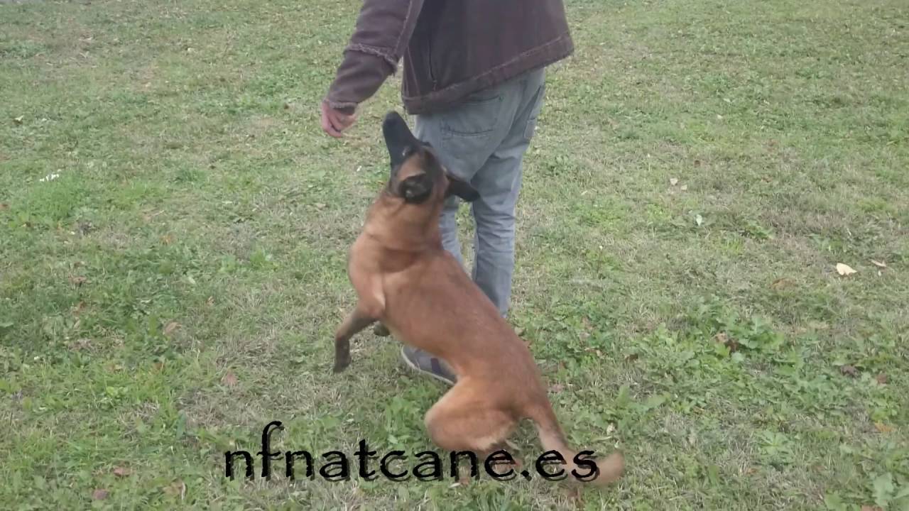 maxresdefault 8