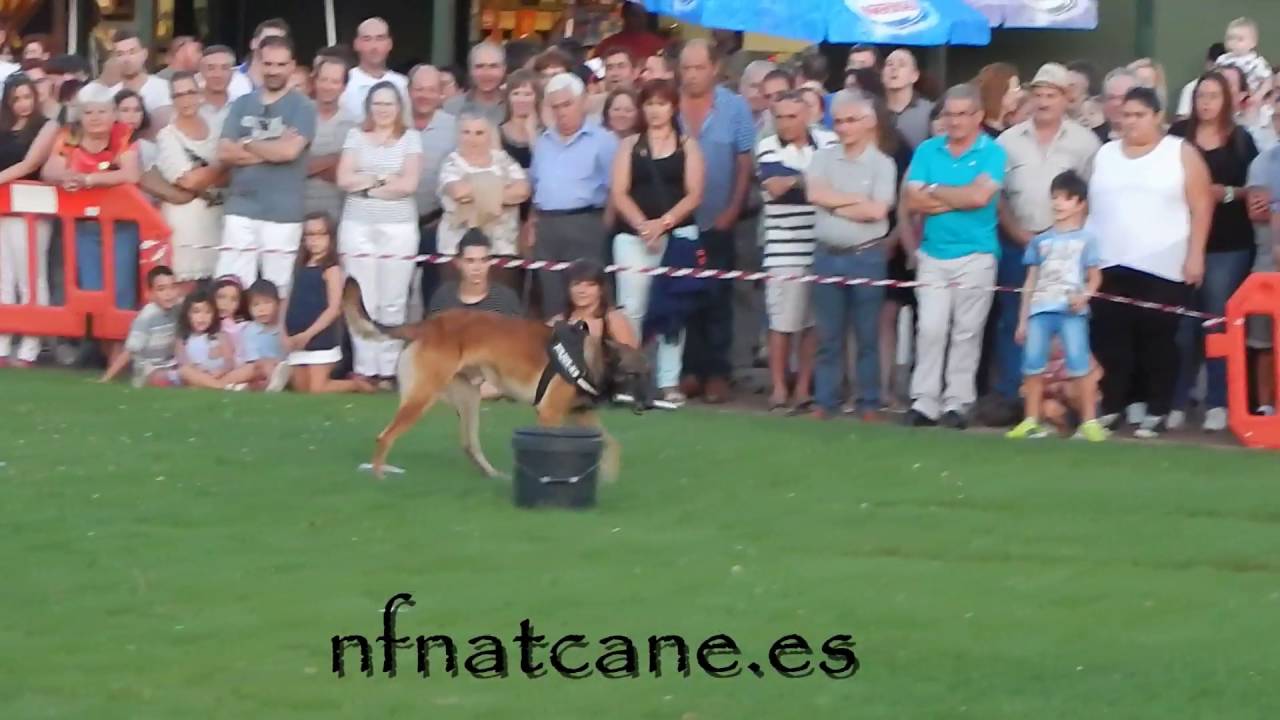 maxresdefault
