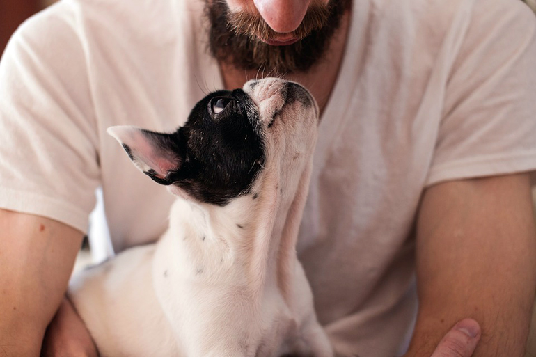 perro comunicandose con su dueño