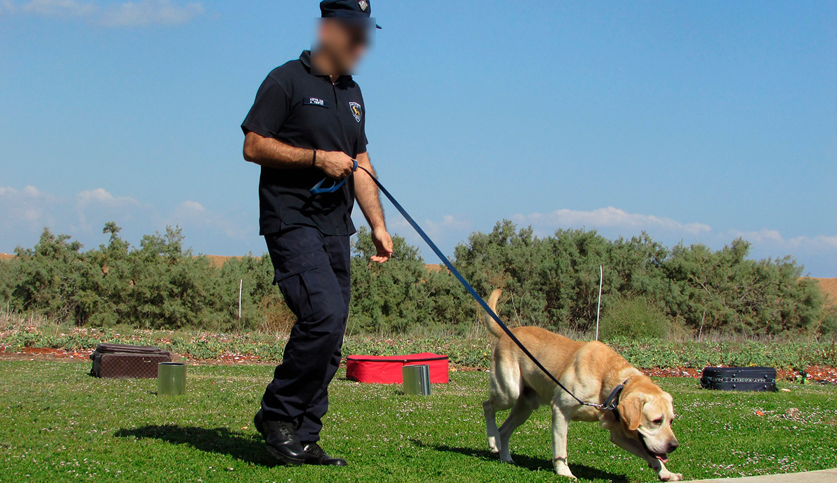 perro policia