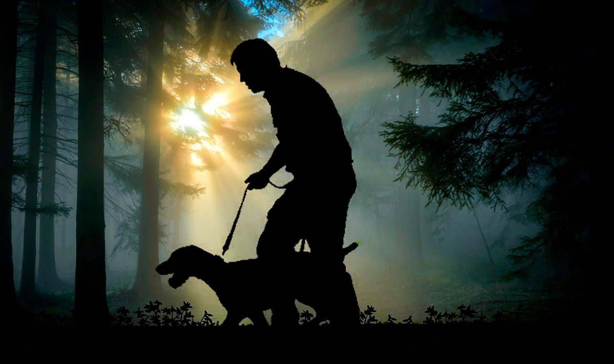 perro rastreando